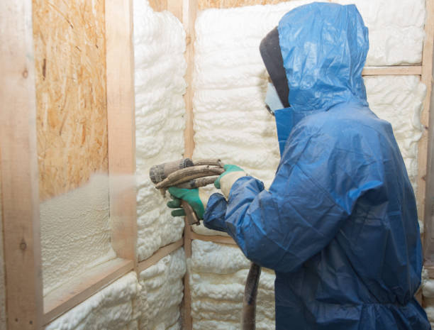 Best Insulation Air Sealing  in Panaca, NV